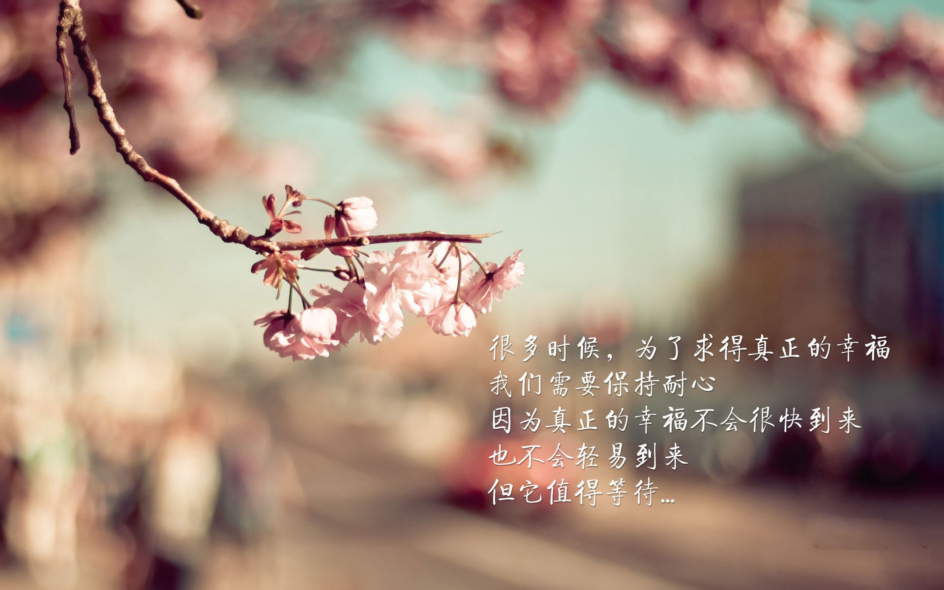 开云体育-法甲风云：巴黎圣日耳曼新援表现出色引关注，巴黎圣日耳曼引进球员