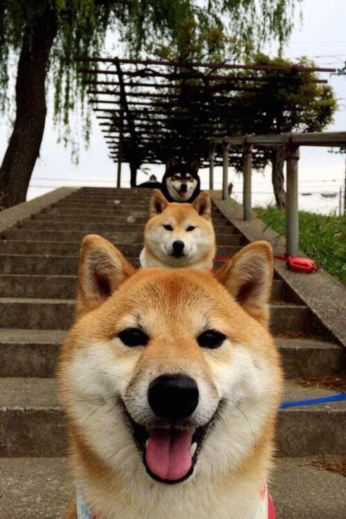 开云体育俱乐部官网-中超联赛商业模式为何难以持续,中超联赛商业价值