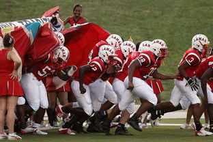 开云·体育全站登录地址-国家队技战术水平提升瓶颈，国家技巧队