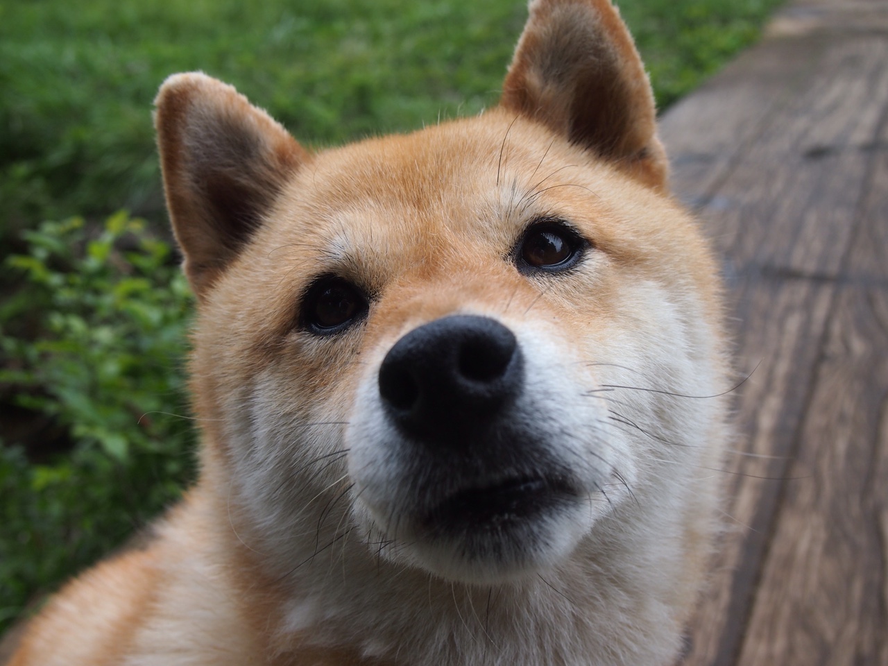 开云体育开云-50蛙火药味十足 覃海洋表现不俗,覃海洋 哪里人