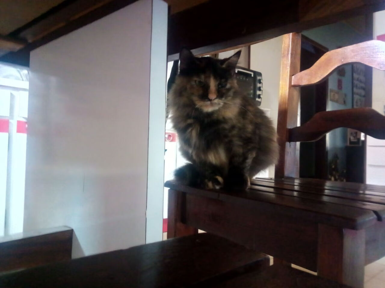 kaiyun.com-体育赛事志愿者招募启动,体育比赛志愿者招募